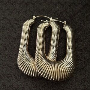 Elegant Silver Hoop Earrings